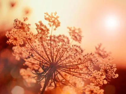 Relaxing Breath: 4-7-11 Method For Restful Sleep