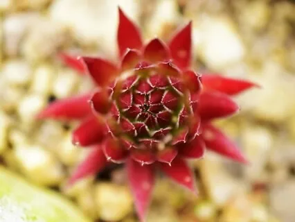 Relaxing Breath Practice With Hang Drum, Piano & Singing Bowl (20 Minutes)