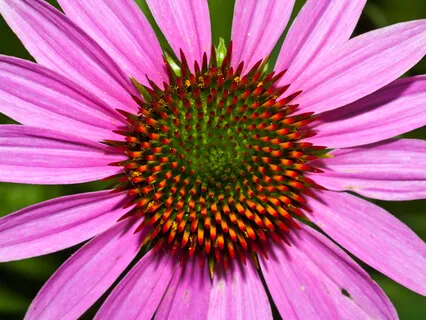 Relaxing Breath Practice With Pan Drum & Nature Sounds (20 Minutes)