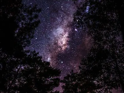 Relaxing & Calming Night