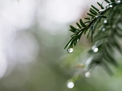 Relaxing Celtic Medley Of Chill Out Music (Rainfall Sounds)