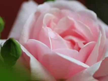 Relaxing Chakra Meditation