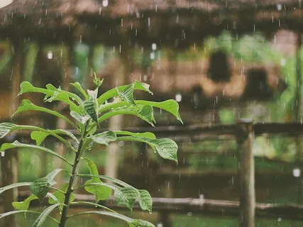 Relaxing City Rain Sound