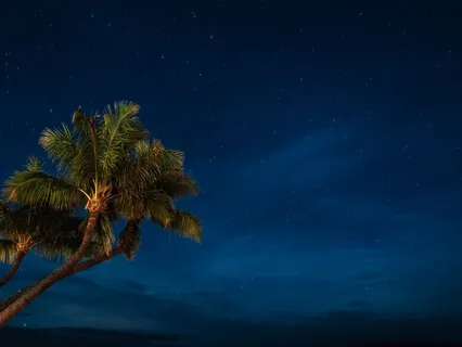 Relaxing Crickets Sounds & Ocean Waves On Tropical Island