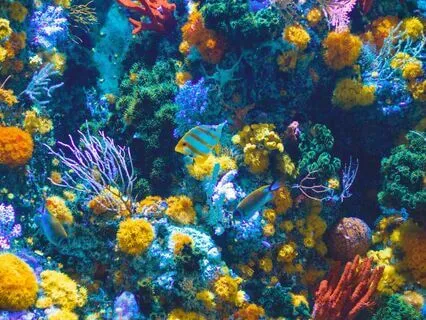 Relaxing Deep Sea Sounds