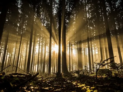 Relaxing Deep Sleep Guided Meditation 