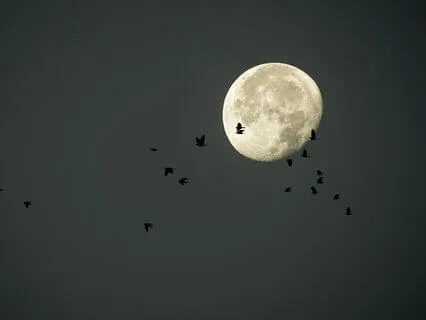 Relaxing Dreams: Nighttime Stress Relief