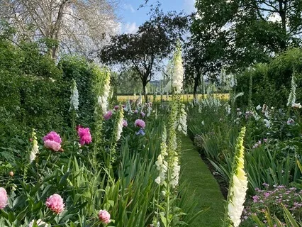 Relaxing English Garden Meditation