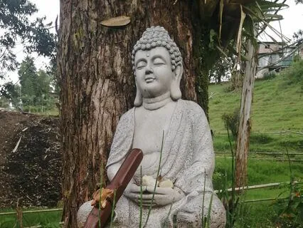 Relaxing Flute And Ocarina: The Mystery Of The Forest