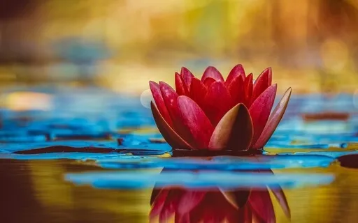 Relaxing Flute Music