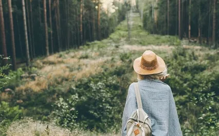 Relaxing Forest Harmonies