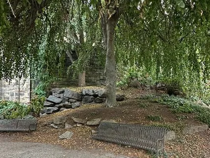 Relaxing Grounding Meditation For When We're Carrying A Lot!