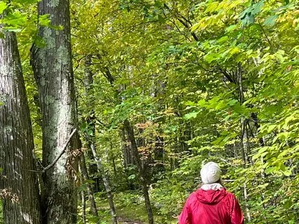 Relaxing Grounding: Tree Of Life ~ Chakra One Meditation