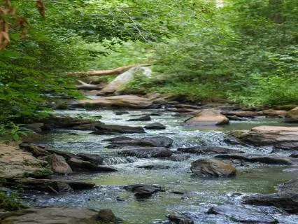 Relaxing Guided Imagery With Nature And Intention