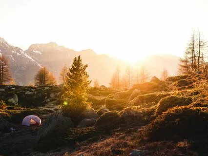 Relaxing Guitar Melodies: Therapeutic And Warm