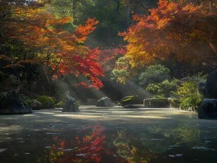 Relaxing Handpan Drum Music 432Hz