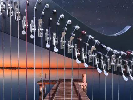 Relaxing Harp Before Bed (1 Hr): Everything You Water Grows