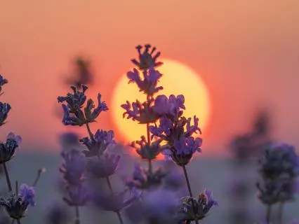 Relaxing In The Clouds