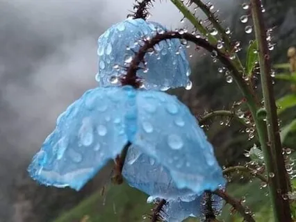 Relaxing In The Present Moment