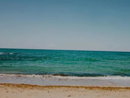Relaxing In The Waves Of Hawaii