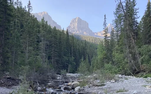 Relaxing In Your Favourite Place 