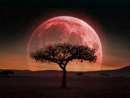 Relaxing Indian Flute Music | 1 Hour