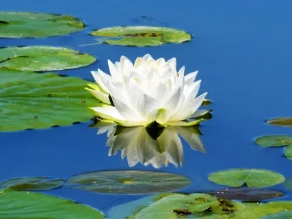 Relaxing Into Change