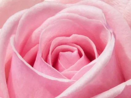 Relaxing Into Life While You Sleep