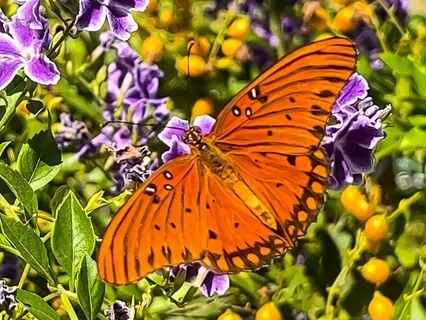 Relaxing Into The Present Moment