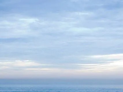 Relaxing Judgement, Present Moment | Parshat Shoftim