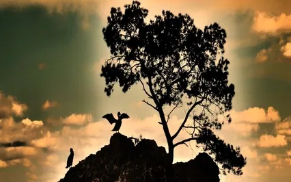 Relaxing Kora(African Harp)& Dreamy Guitar. Unfolded Dreams