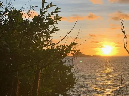 Relaxing Legs Up A Wall Practice