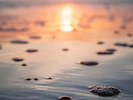 Relaxing Light For Calm And Connection