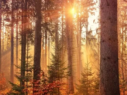 Expand Awareness And Embrace Simplicity