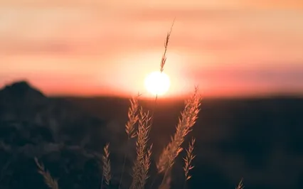 Relaxing Meditation & Yoga Music - Innsomnia