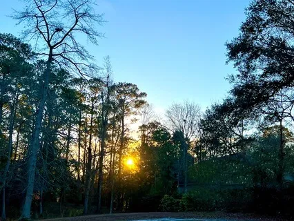 Relaxing Meditation To Be In The Present Moment