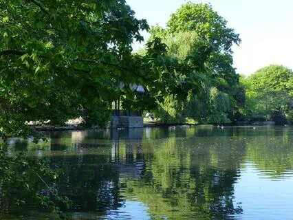 Relaxing Meditative Piano For Inner Peace - Still Waters