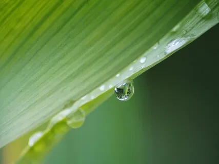 Relaxing, Meditative Piano Music (1 Hour)