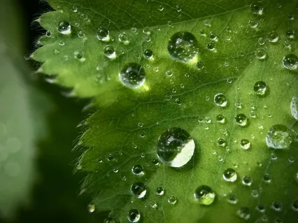 Relaxing, Meditative Piano Music (30 Minutes)