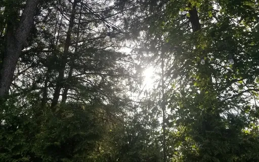 Relaxing Mindfulness Meditation 