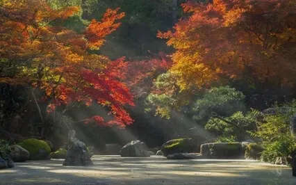 Relaxing Music: Ambient Piano & Cello