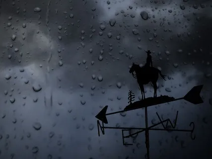 Relaxing Music & Soft Rain Sounds