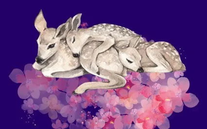 Relaxing Music Box Melodies With Nature Sounds (One Hour)