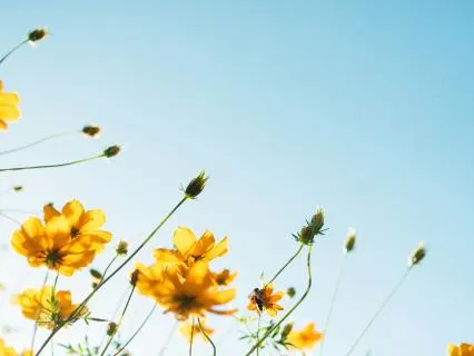 Relaxing Music - Breathe In Breathe Out