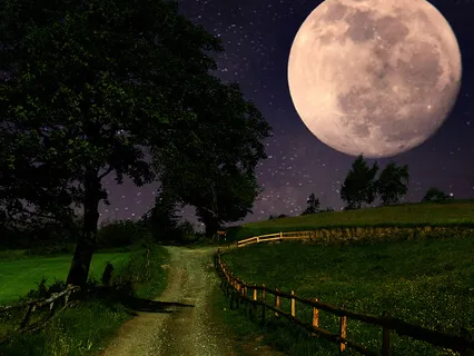 Relaxing Music, Fall Asleep Fast