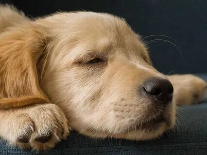 Relaxing Music For A Quiet Mind And A Peaceful Soul