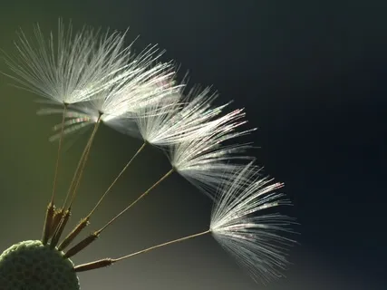 Relaxing Music For HSP, Highly Sensitive Person