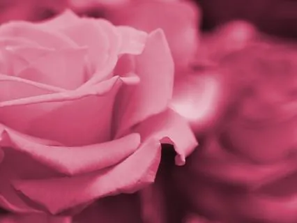 Relaxing Music For Intimacy