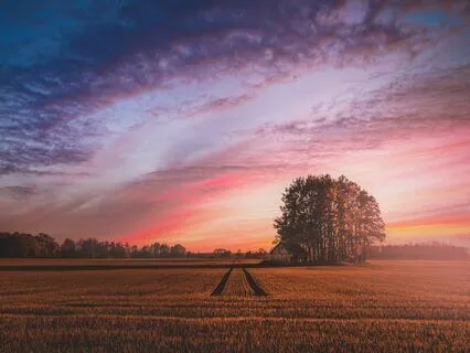 Relaxing Music For Sleep