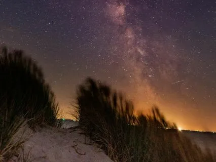 Relaxing Music For Stress-Free Studying And Relaxation